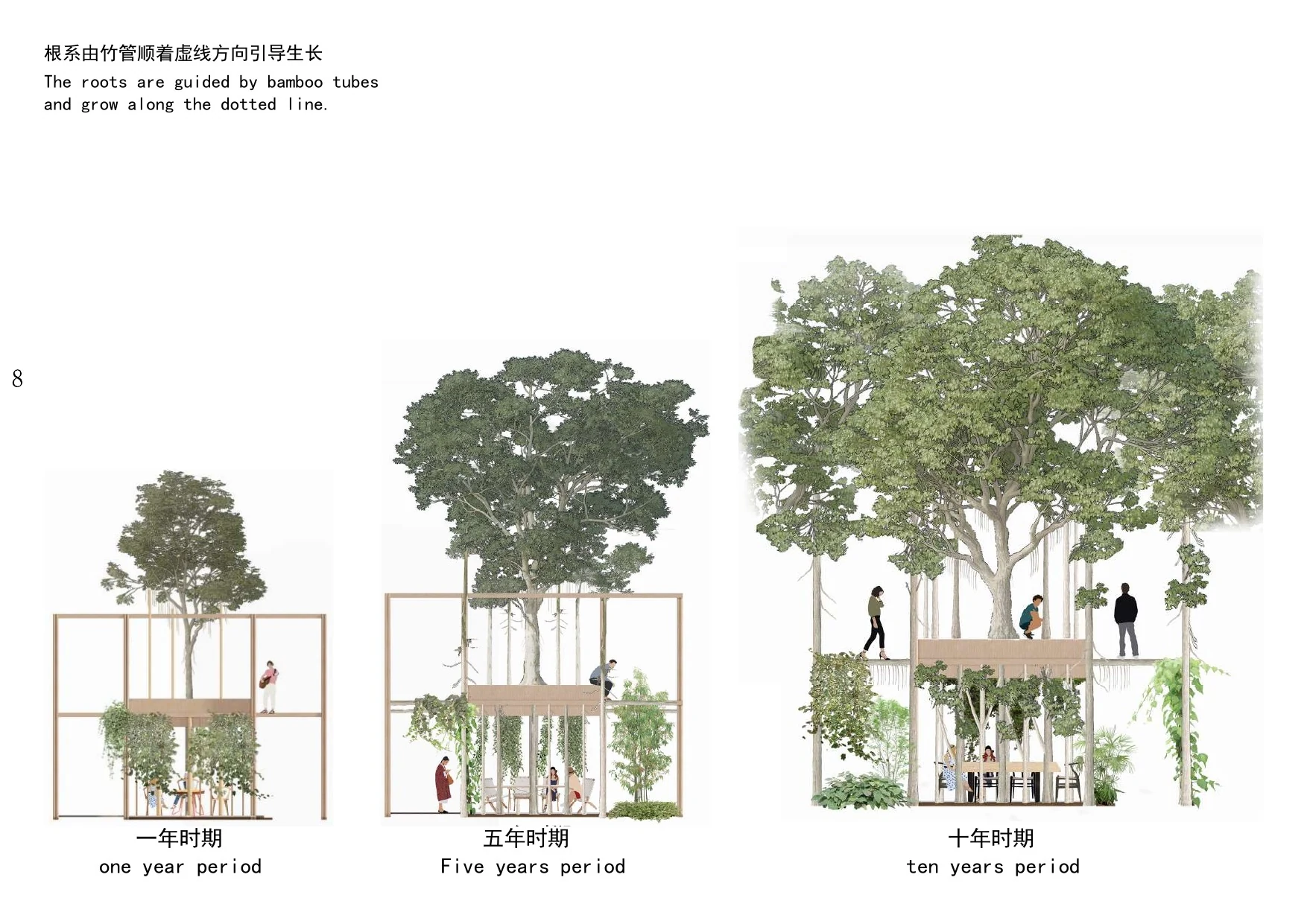 一年、五年、十年的植物生长与结构演替